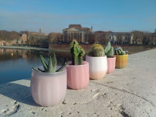 TiPii Atelier terracotta cactus pot toulouse artisanatpetit