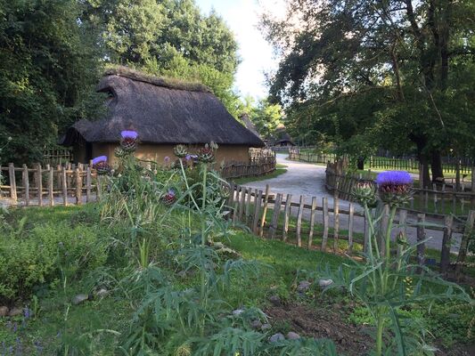 Village gaulois 5 RIEUX