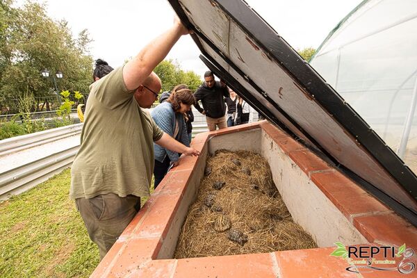 Visite-Le-Refuge-des-Tortues-BESSIERES