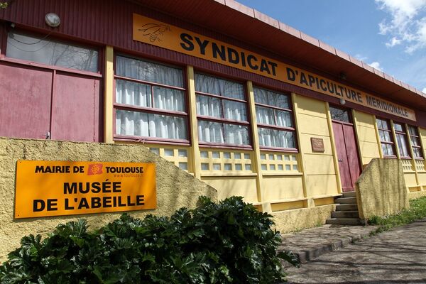 musee de l abeille TOULOUSE