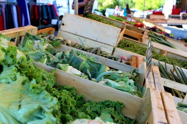 marche_de_cadours (10)