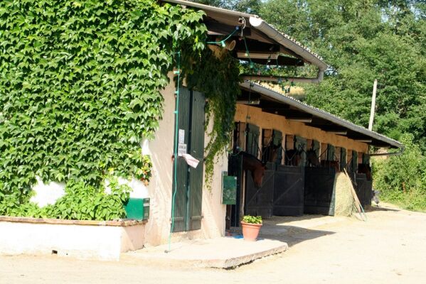 centre equestre accueil RIEUX
