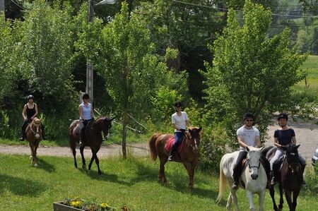centre equestre balade RIEUX