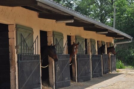 centre equestre chevaux RIEUX