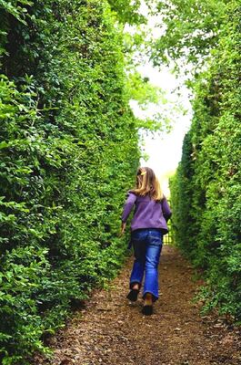 chateau_merville_creditlabyrinthedemerville (2)