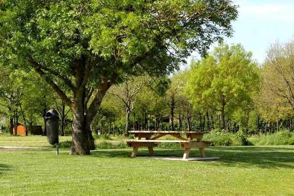 domaine_de_cavaillé-800x600 (2)