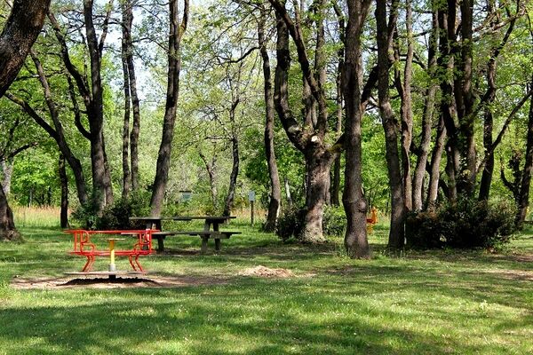 domaine_de_cavaillé-800x600 (5)