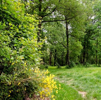 domaine_de_cavaillé-800x600 (6)