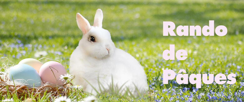 easter-bunny-3201433-1920