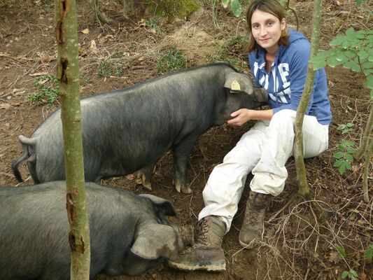 ferme bracadelle 2