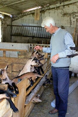 ferme_en_barrus_credit-OTHautsTolosans (9)