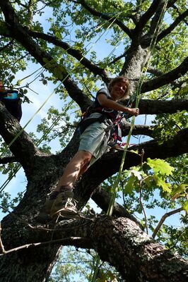 grimpe arbre escapade MONTBRUN BOCAGE