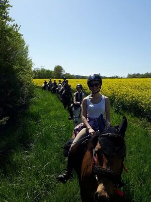 haras-fleyres_800x600 (2)