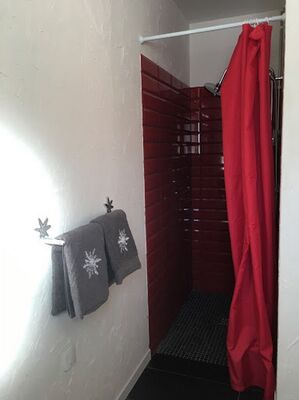 izard 10 MONTAUBAN