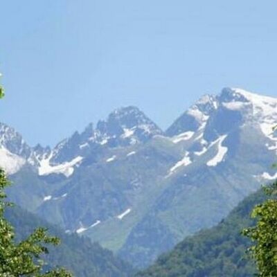 izard MONTAUBAN