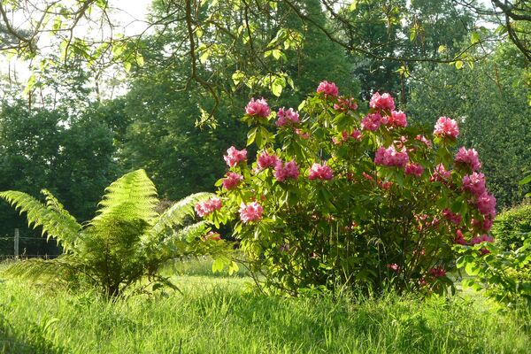 jardin cap d arbon 3 ESTADENS
