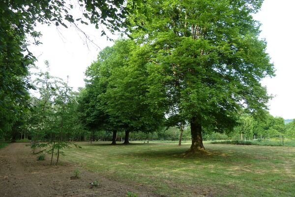 jardin cap d arbon ESTADENS