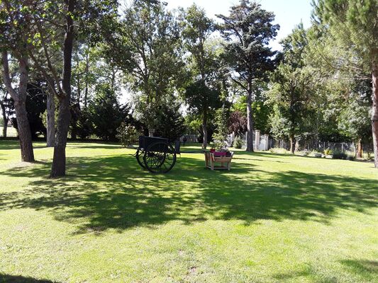 jardin jim