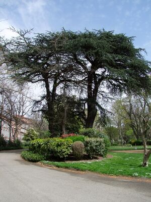 jardin royal 1 TOULOUSE