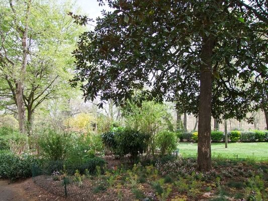 jardin royal 2 TOULOUSE