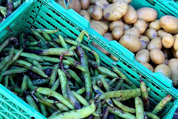 légumes-credit-OTHautsTolosans