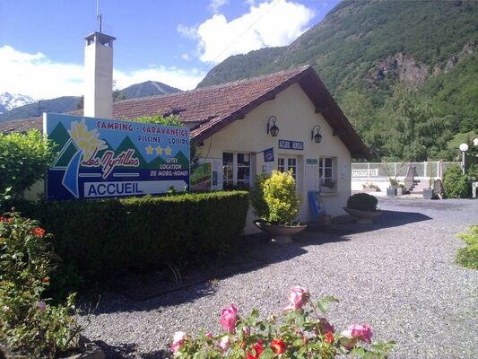 les myrtilles MOUSTAJON