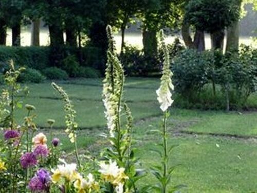 parc chateau FONBEAUZARD