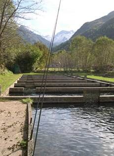 pisciculture-neste-oo