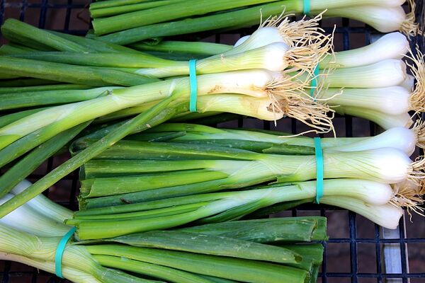 poireaux-légumes-creditOTHautsTolosans
