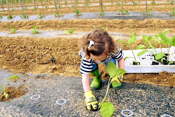 produits-clos-cueillette1-credit-isabelle-lamarche(1)