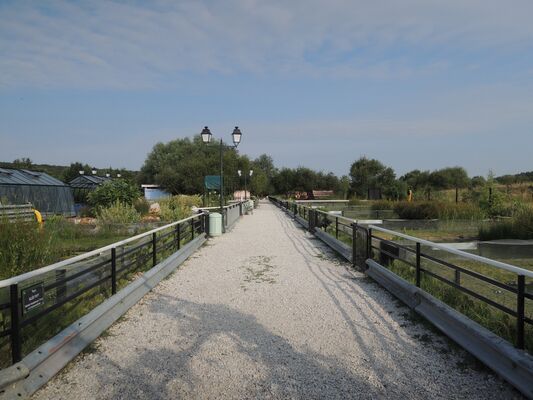 refuge tortues 12 BESSIERES