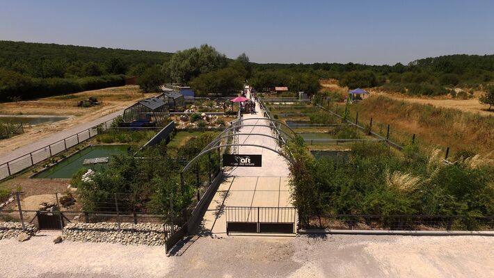 refuge tortues 8 BESSIERES