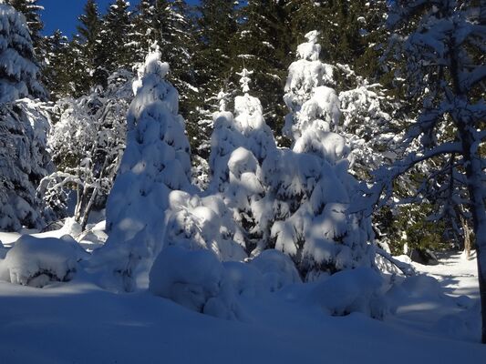 station BOURG D OUEIL