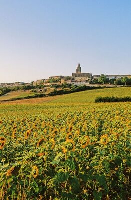 SAINT FELIX LAURAGAIS