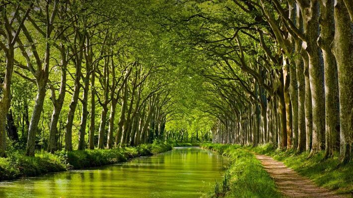 Katios-Chartreuse du Canal