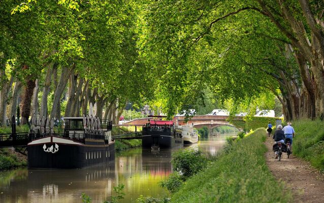 Katios-Chartreuse du Canal
