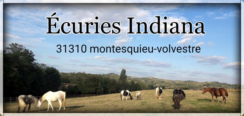 2curies d'Indiana