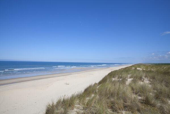 MEDOC OCEAN PLAGES OCEAN plage océane lacanau