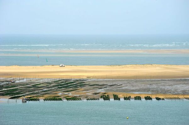Ostreiculture sur le banc d Arguin