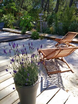 Au jardin des Libellules5