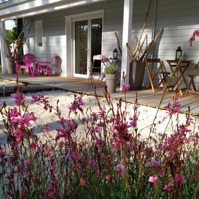 Au jardin des Libellules8