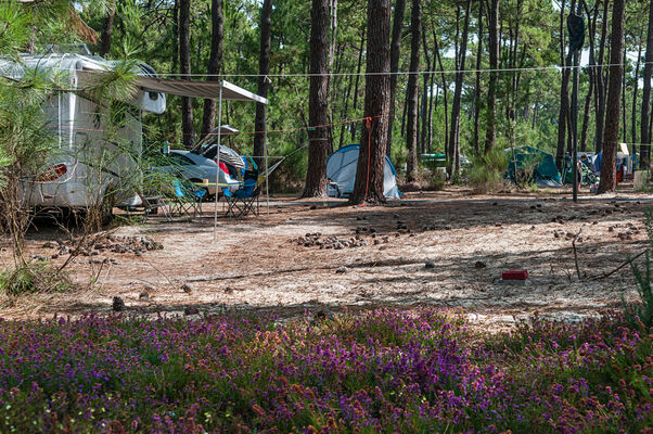 Camping du Gurp5
