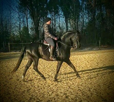 Lacanau Equi-passion