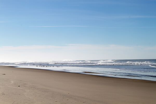 Plage-Hourtin