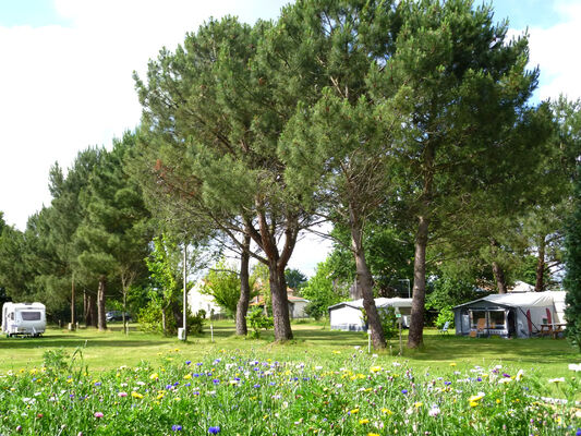 Camping La Prairie Carcans