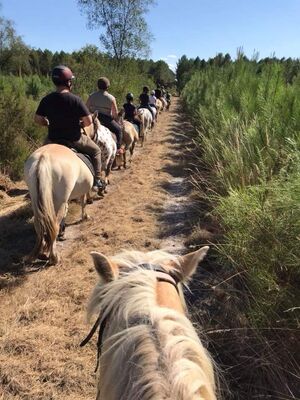 Ranch des Lamberts14