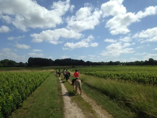 Ranch des Lamberts11