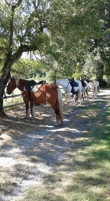 Ranch des Lamberts