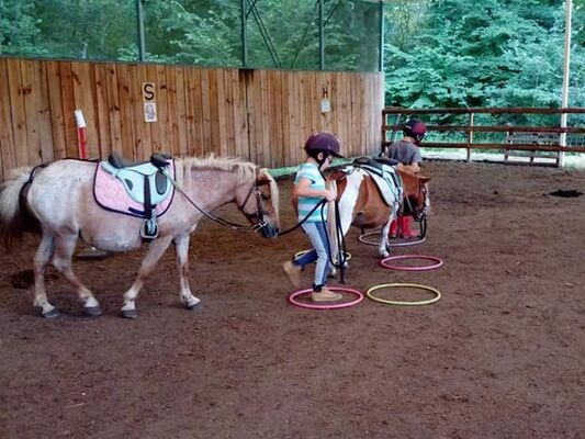 Ranch des Lamberts9