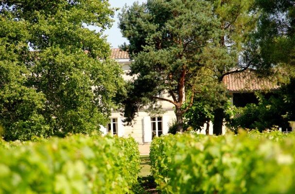 chateau baudan (1)